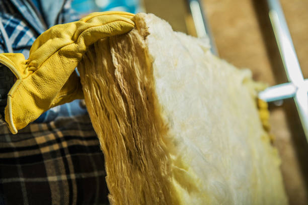 Best Insulation Materials and Products in Wapello, IA